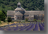 Frankrijk,Provence,Abbaye de S�nanque