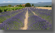 Frankrijk, Provence