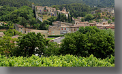 Frankrijk,Provence,Gigondas