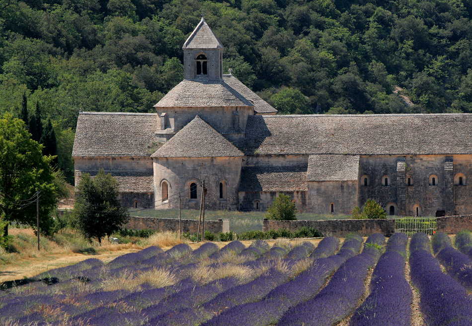Frankrijk,Provence,Abbaye de S�nanque