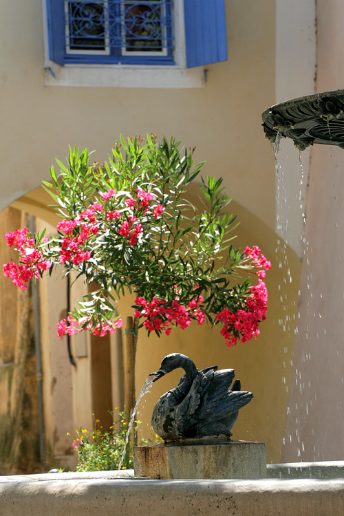 Frankrijk,Provence,St-Paul-Trois-Chateau