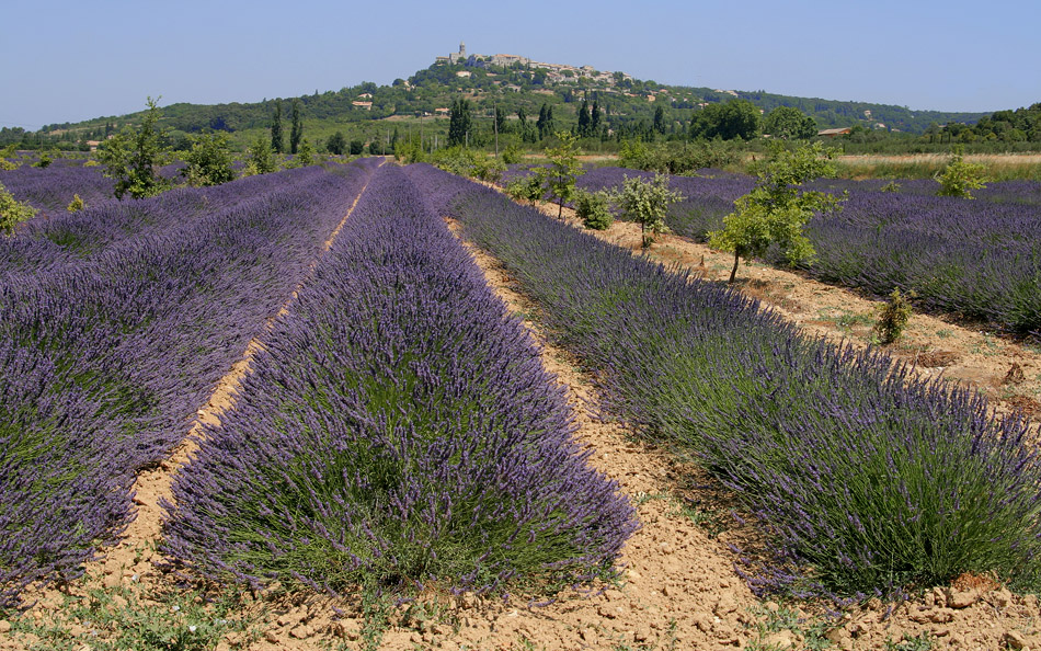 Frankrijk,Provence