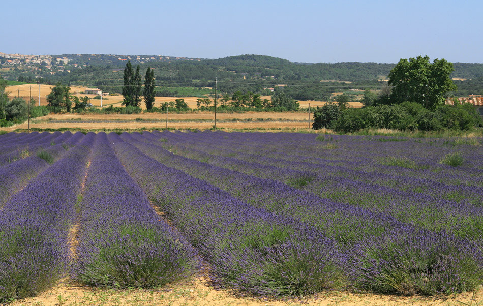 Frankrijk,Provence