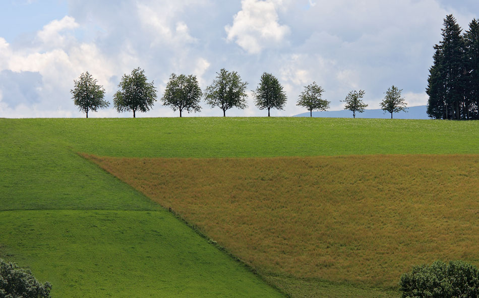 Schwarzwald, Z.-Duitsland