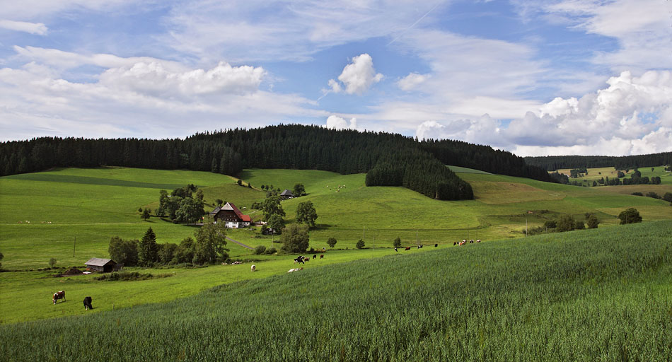 Schwarzwald, Z.-Duitsland