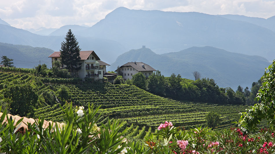 Alto Adige, N.-Itali�