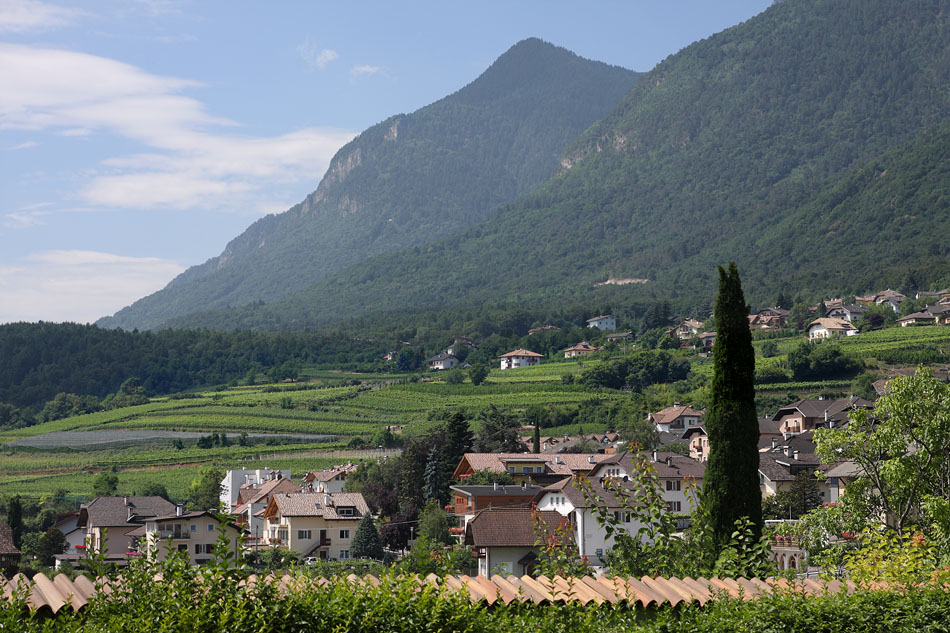 Alto Adige, N.-Itali�