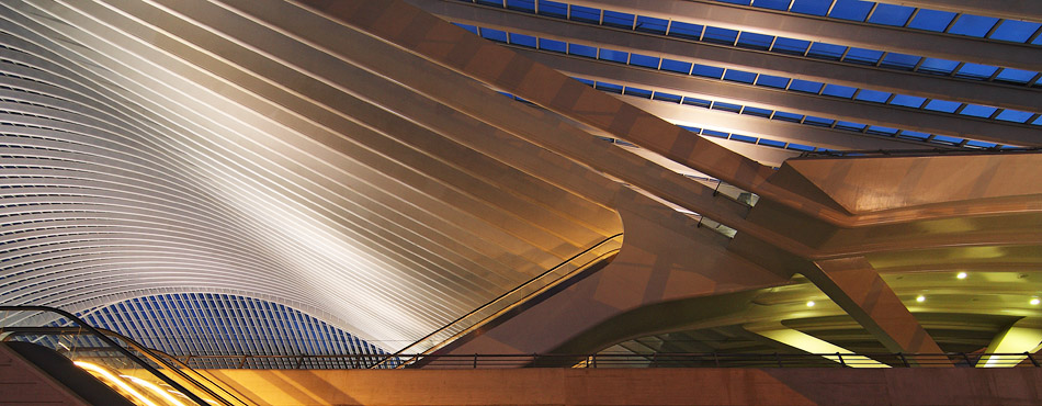 Station Guillemins, Luik. Architect Santiago Calatrava