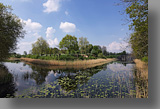 Langs de Diefdijk bij Culemborg