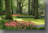 De Keukenhof