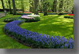 De keukenhof