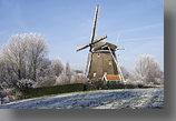 De Riekermolen, Amsterdam-Buitenveldert