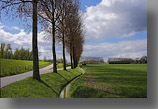 Eiland van Dordrecht