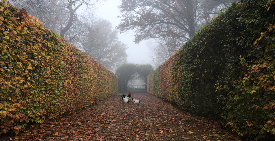 Landgoed Luchtenburg