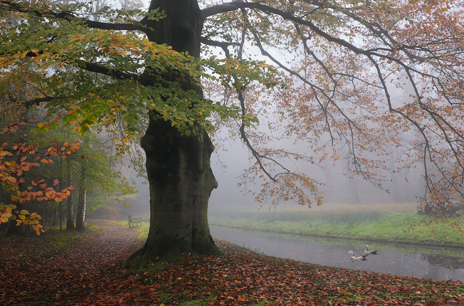 Landgoed Luchtenburg