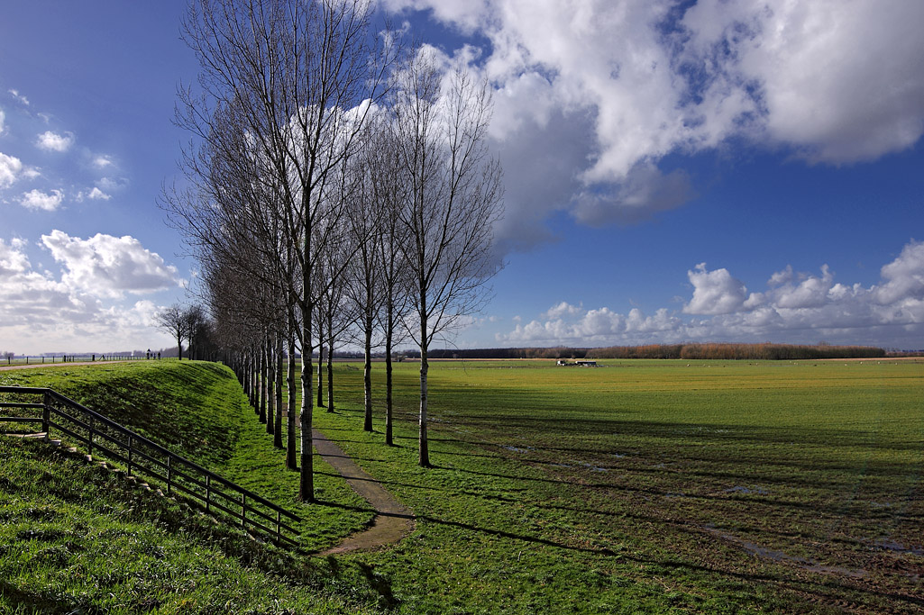 Land van Heusden en Altena