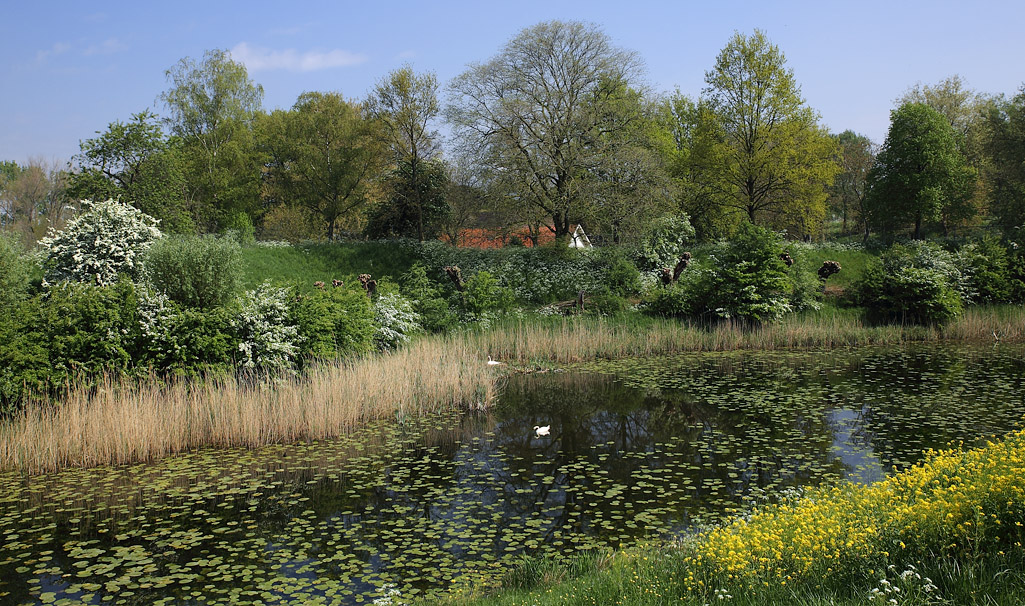 Langs de Diefdijk bij Culemborg