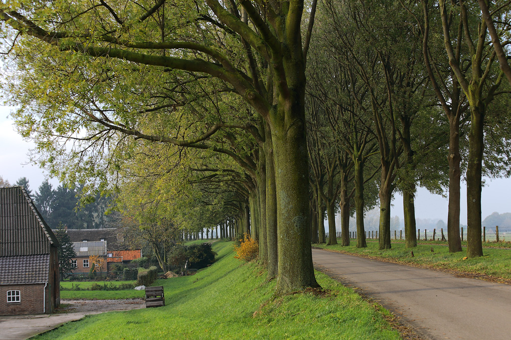Langs de dijk aan de Maas bij Ravenstijn