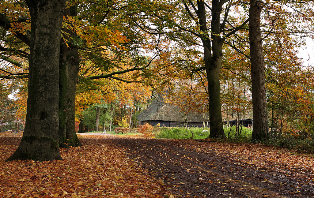 Langoed Het Ooievaarsnest bij Goirle
