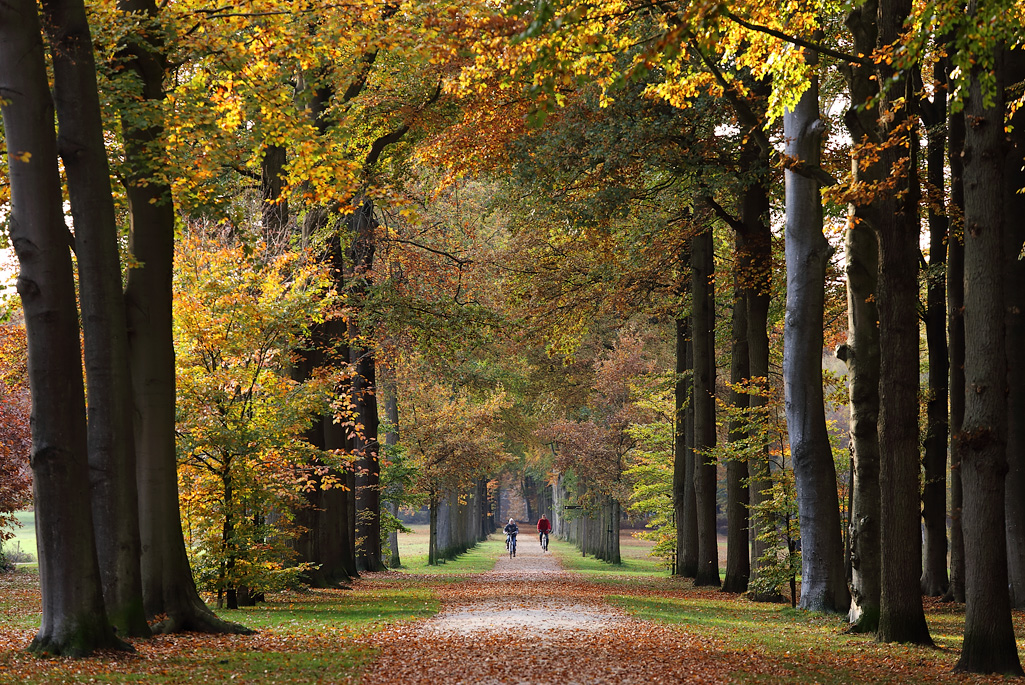 Landgoed Groeneveld in Utrecht