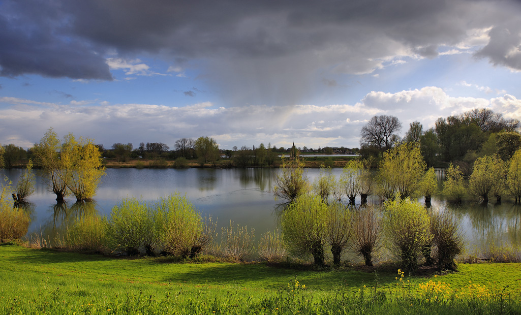 Langs rivier De Waal