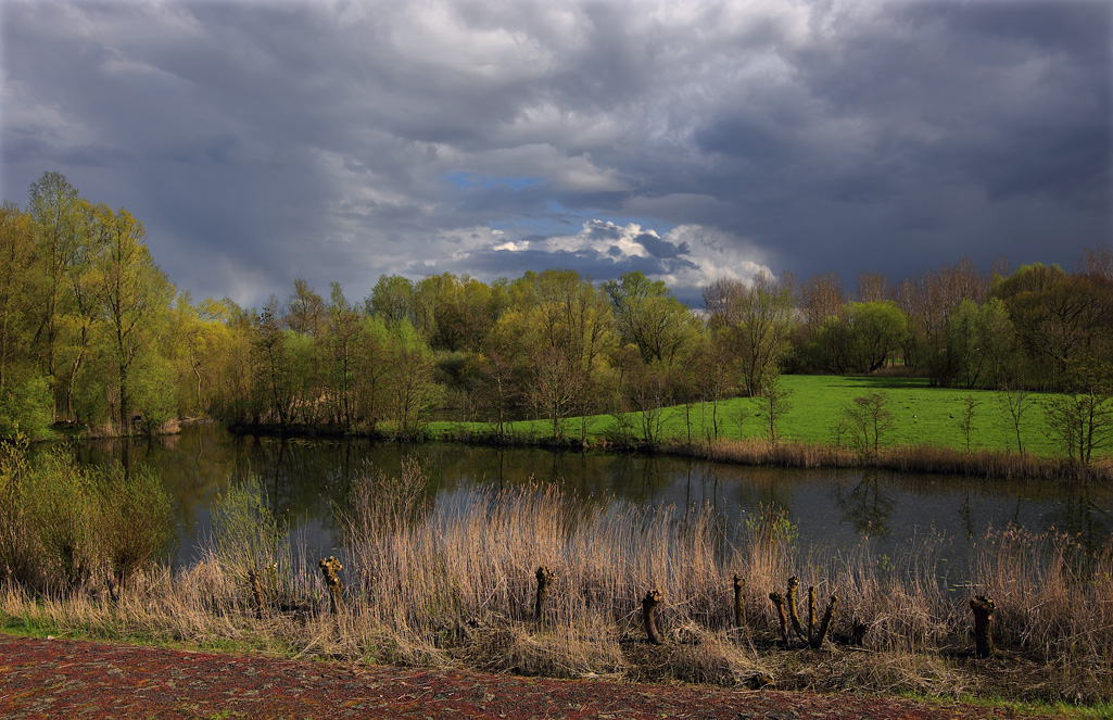 Langs rivier De Waal