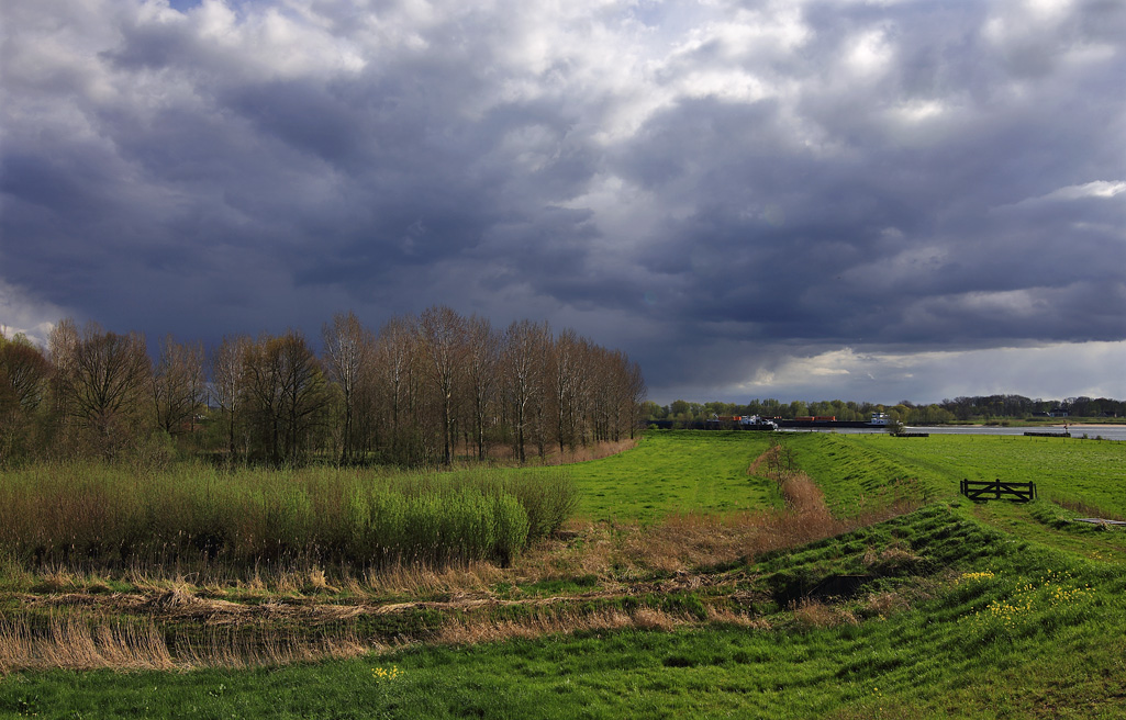 Langs rivier De Waal