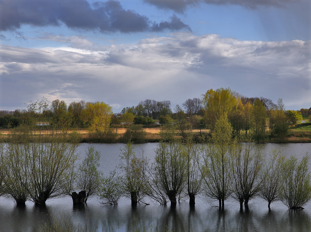 Langs rivier De Waal