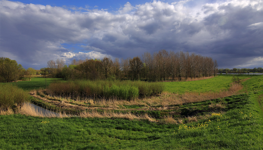 Langs rivier De Waal