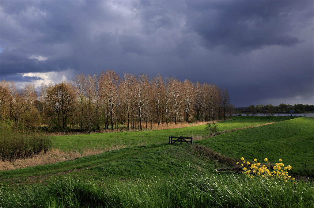 Langs rivier De Waal