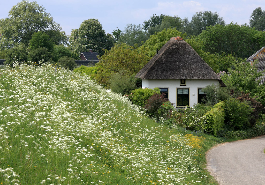 Dijkhuisje aan de Waal