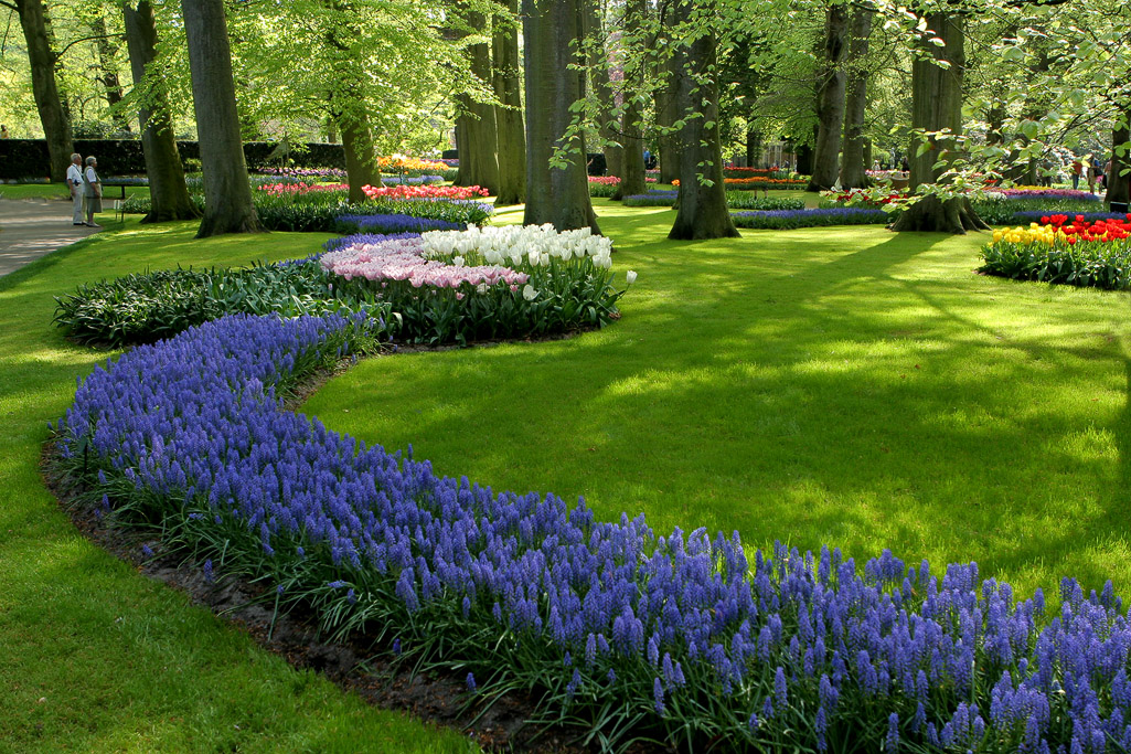 De keukenhof