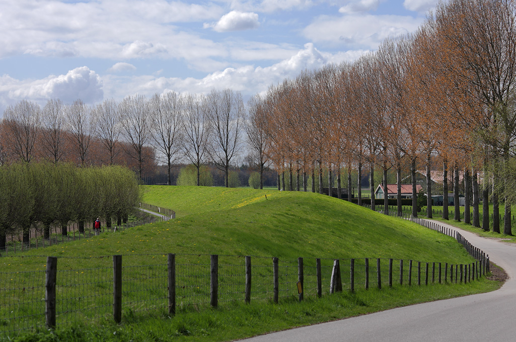 Eiland van Dordrecht