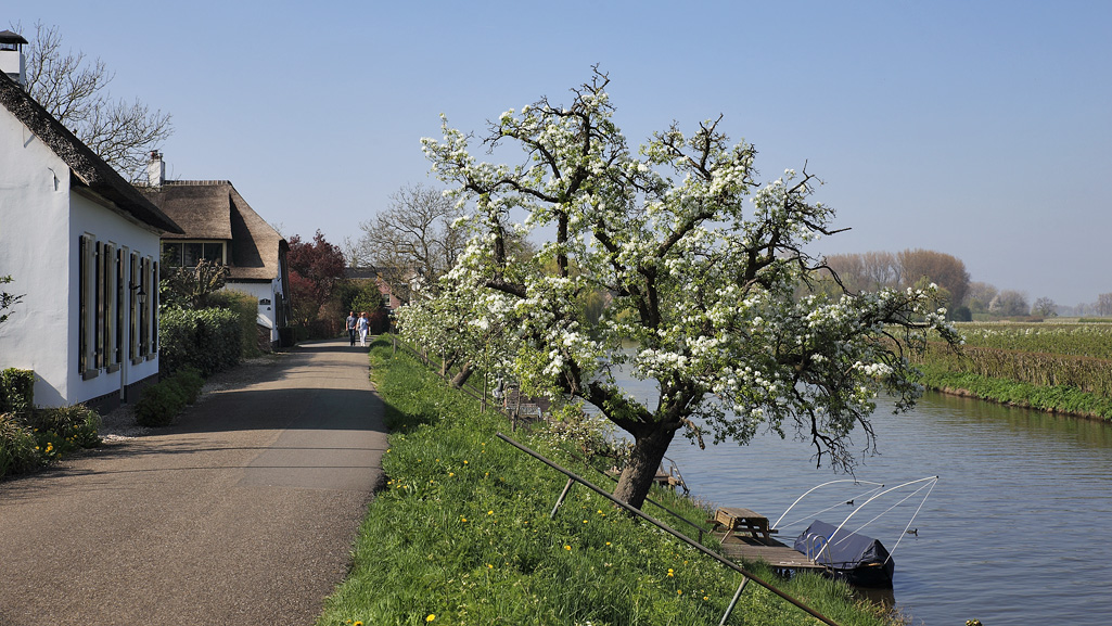 Riviertje de Linge omgeving Beesd