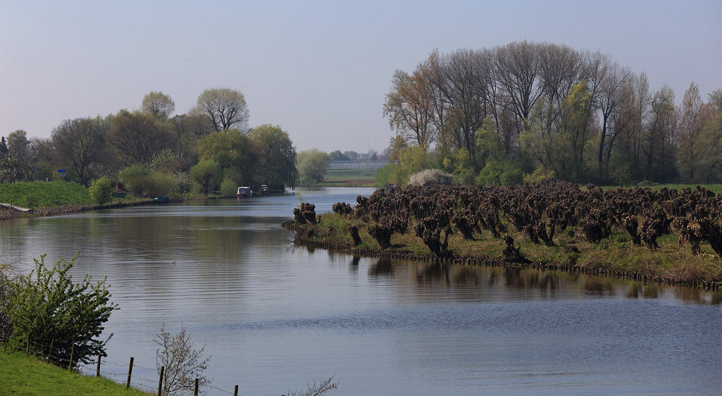 Riviertje de Linge omgeving Beesd