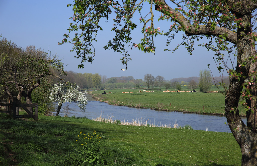 Riviertje de Linge omgeving Beesd