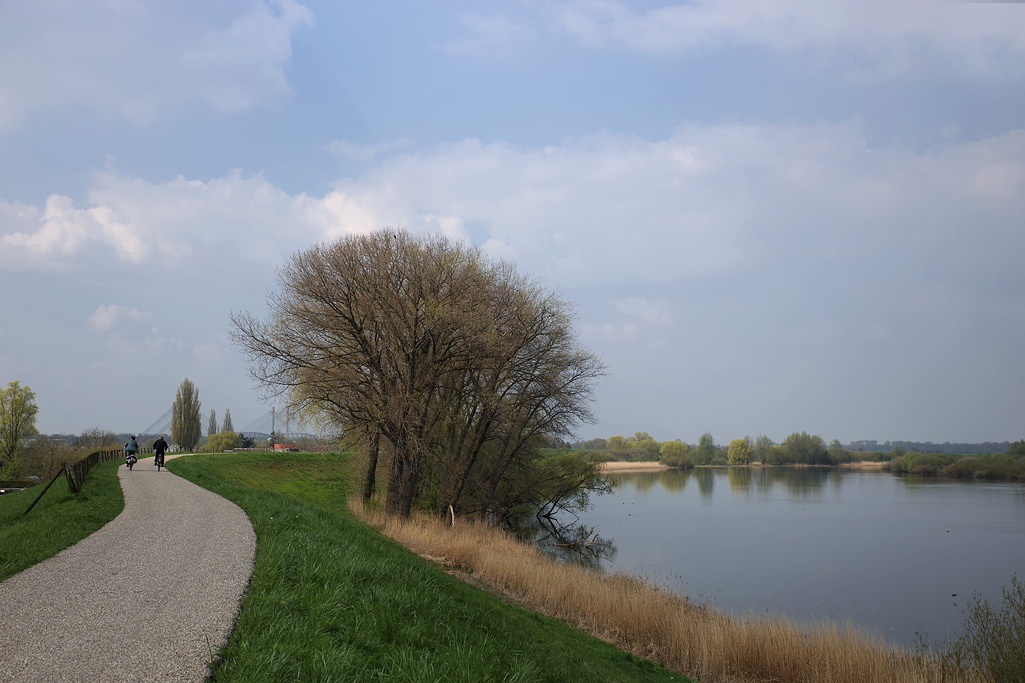 De Waal tussen Zaltbommel en Rossum