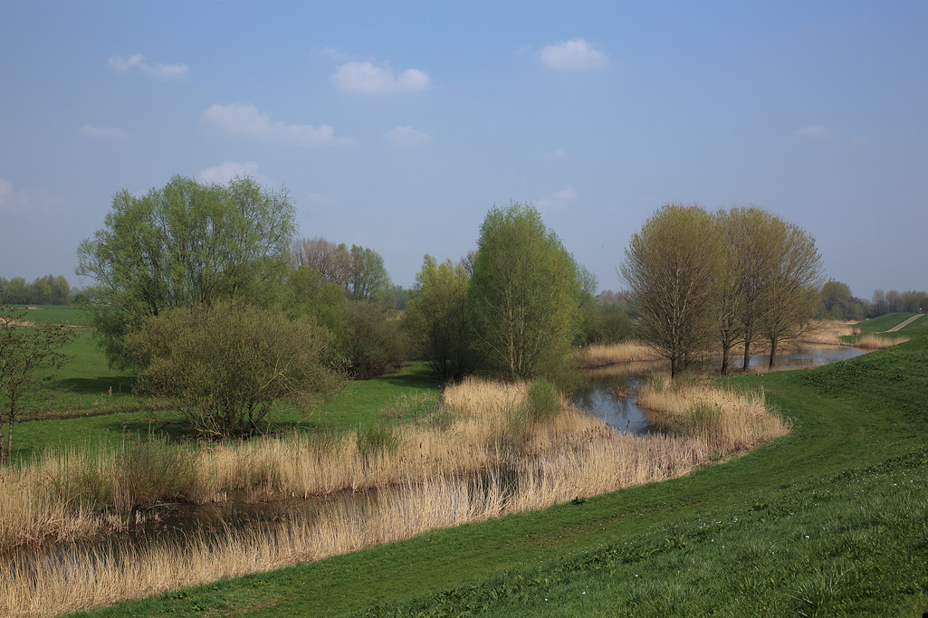 De Waal tussen Zaltbommel en Rossum