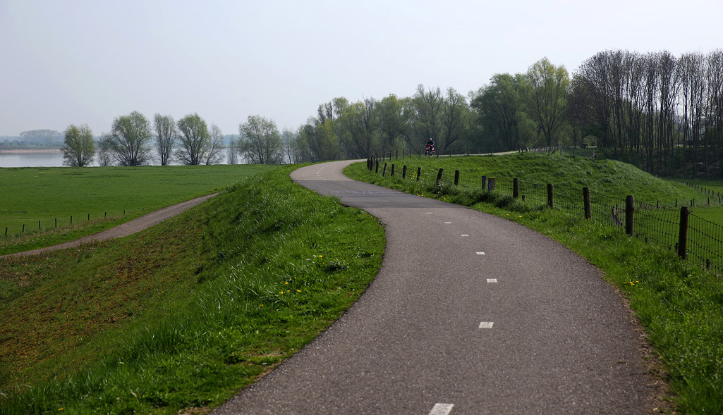 De Waal tussen Zaltbommel en Rossum