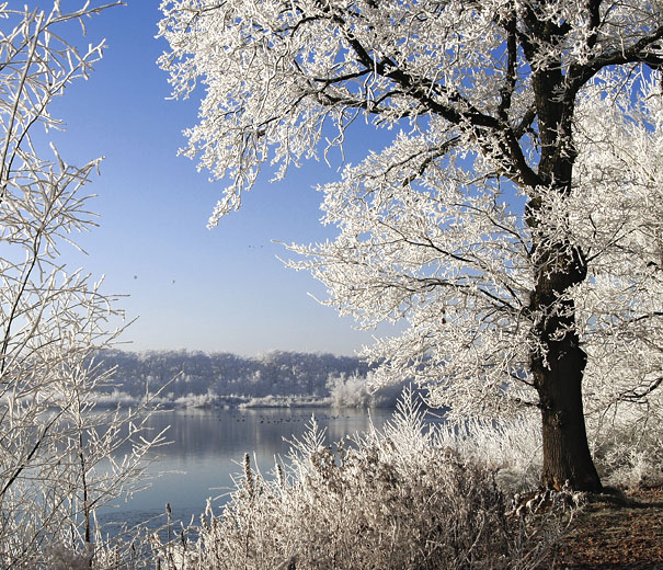 Leemputten, Udenhout