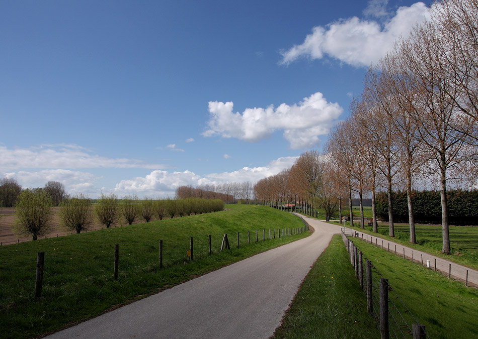 Eiland van Dordrecht